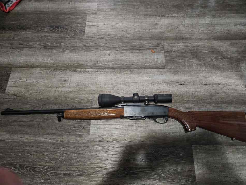 Remington 742 6mm with burris 4-12x50 scope