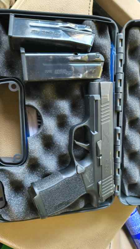 Sig 365xl 